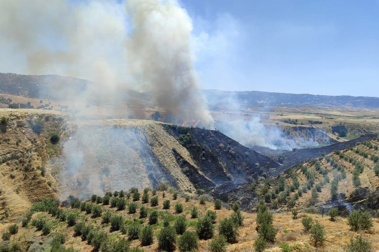 Manisa Alaşehir'de korkutan yangın kontrol altına alındı